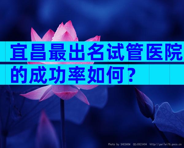 宜昌最出名试管医院的成功率如何？