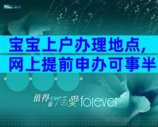 宝宝上户办理地点,网上提前申办可事半功倍