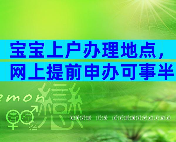 宝宝上户办理地点，网上提前申办可事半功倍