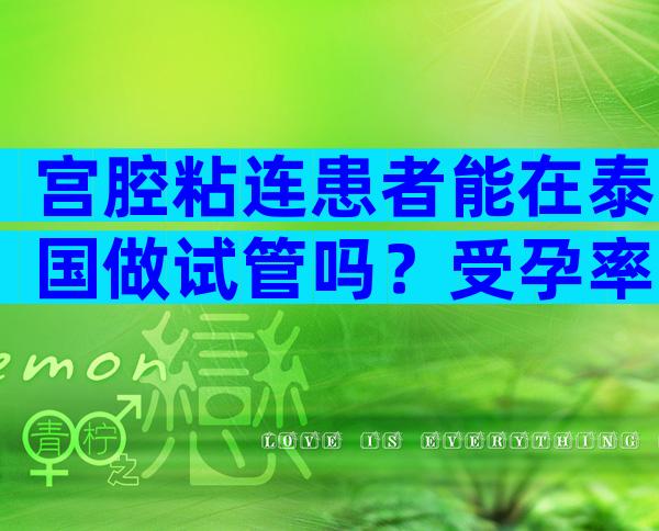 宫腔粘连患者能在泰国做试管吗？受孕率高吗？