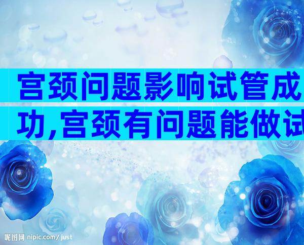 宫颈问题影响试管成功,宫颈有问题能做试管婴儿吗