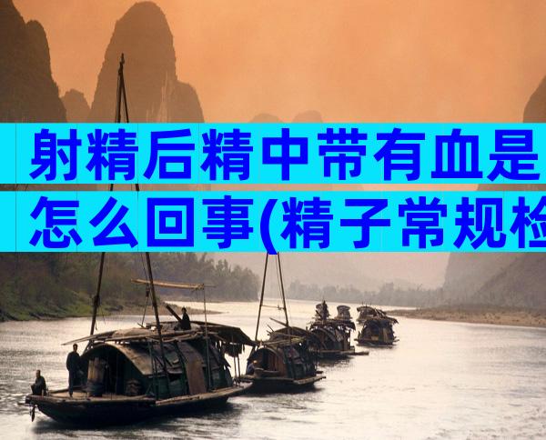 射精后精中带有血是怎么回事(精子常规检查怎么查)