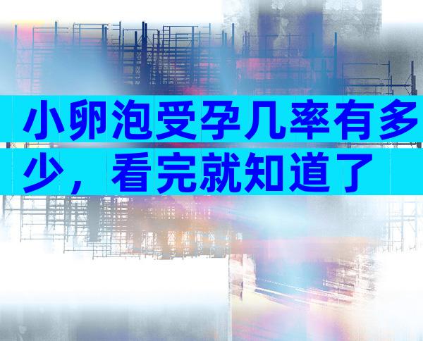 小卵泡受孕几率有多少，看完就知道了