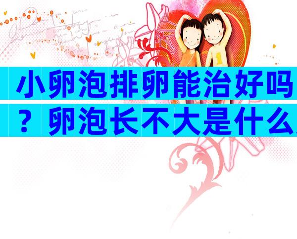 小卵泡排卵能治好吗？卵泡长不大是什么原因造成的？