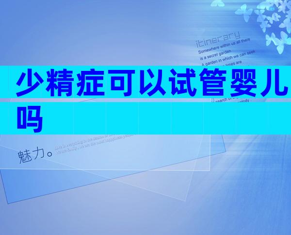 少精症可以试管婴儿吗