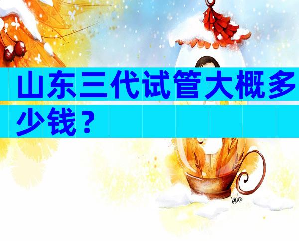 山东三代试管大概多少钱？