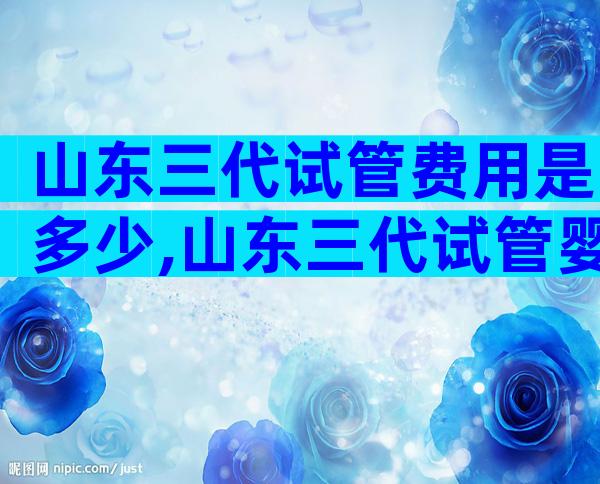 山东三代试管费用是多少,山东三代试管婴儿医院哪家好