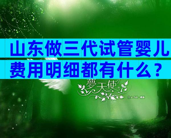 山东做三代试管婴儿费用明细都有什么？