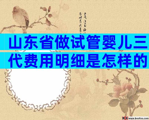 山东省做试管婴儿三代费用明细是怎样的？