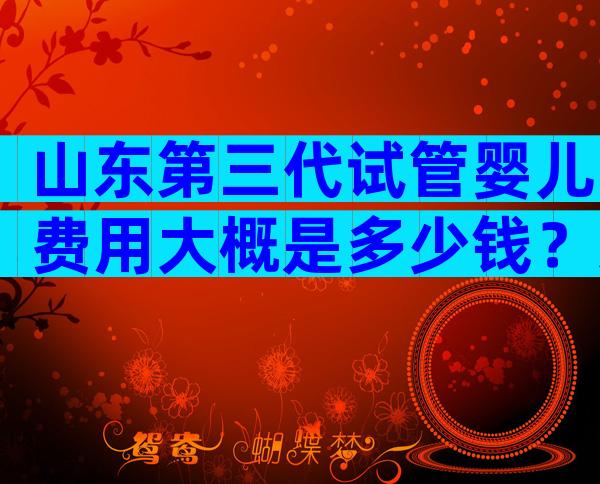 山东第三代试管婴儿费用大概是多少钱？这三部分费用都不便宜