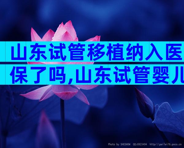 山东试管移植纳入医保了吗,山东试管婴儿多少钱明细表
