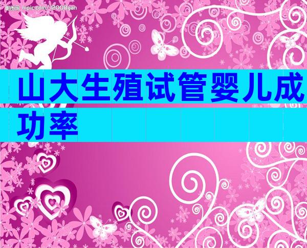 山大生殖试管婴儿成功率