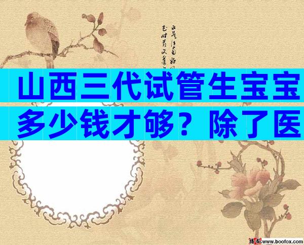 山西三代试管生宝宝多少钱才够？除了医疗费用还有生活开支