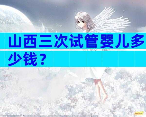 山西三次试管婴儿多少钱？
