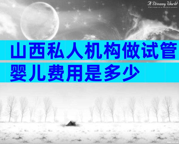 山西私人机构做试管婴儿费用是多少