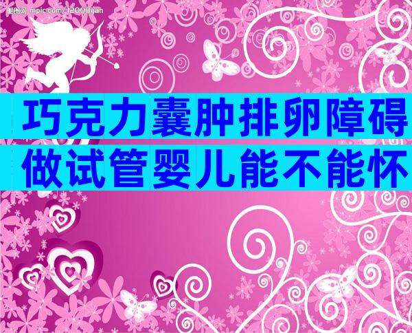巧克力囊肿排卵障碍做试管婴儿能不能怀上