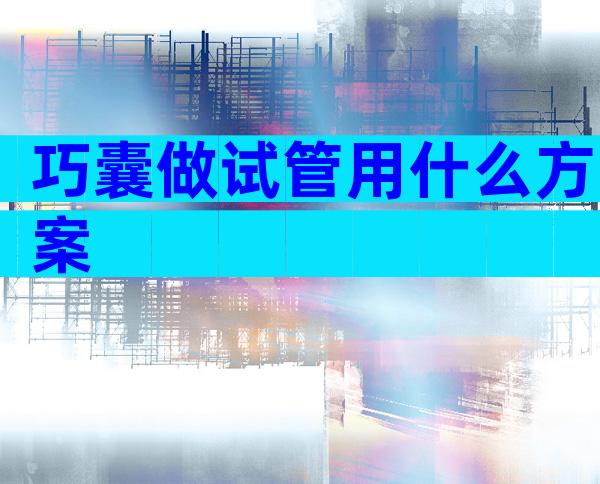 巧囊做试管用什么方案