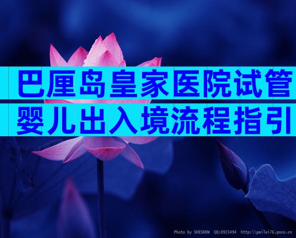 巴厘岛皇家医院试管婴儿出入境流程指引