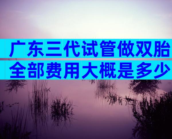 广东三代试管做双胎全部费用大概是多少？