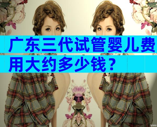 广东三代试管婴儿费用大约多少钱？