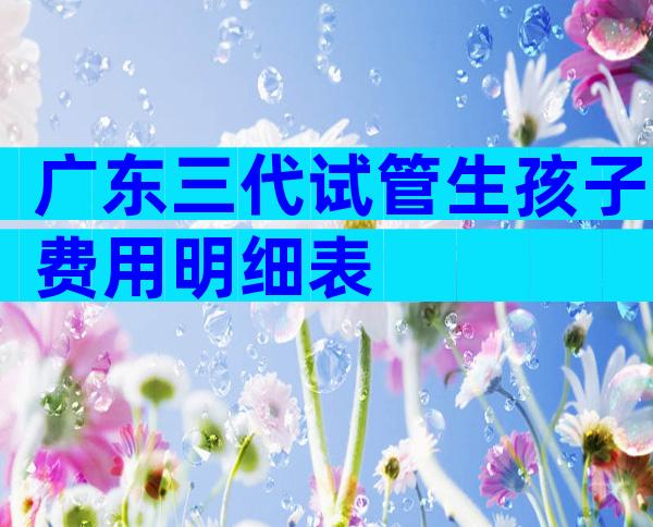 广东三代试管生孩子费用明细表