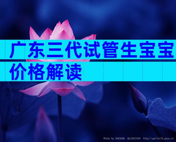广东三代试管生宝宝价格解读