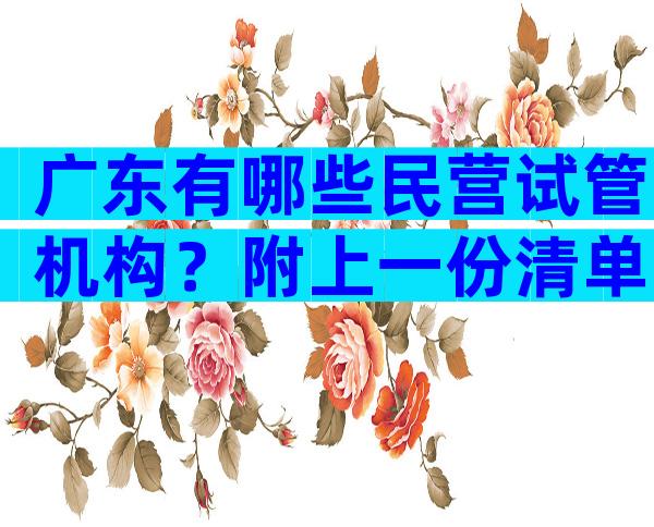 广东有哪些民营试管机构？附上一份清单。