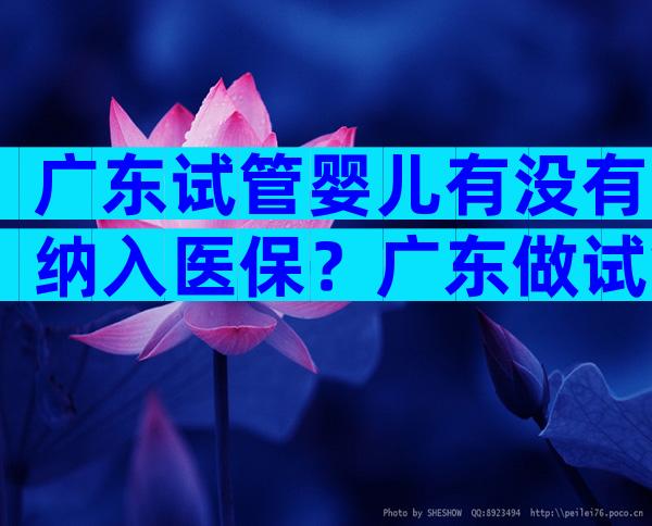 广东试管婴儿有没有纳入医保？广东做试管婴儿的医院