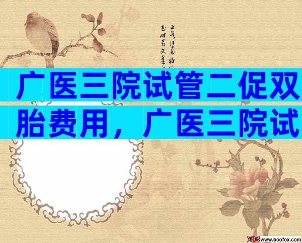 广医三院试管二促双胎费用，广医三院试管二促双胎费用多少