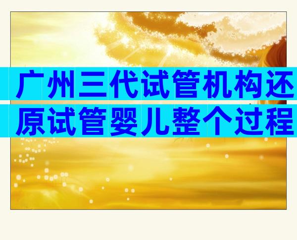 广州三代试管机构还原试管婴儿整个过程