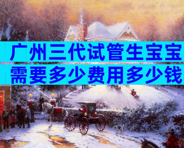 广州三代试管生宝宝需要多少费用多少钱？