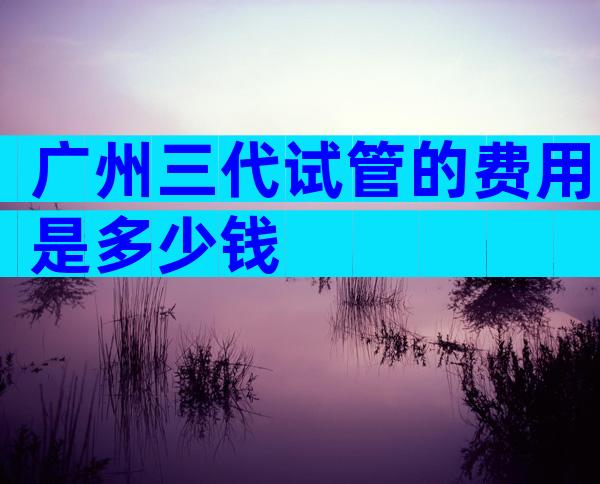 广州三代试管的费用是多少钱