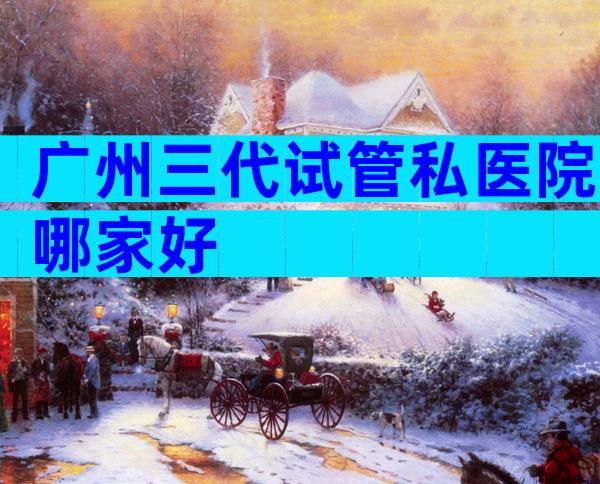 广州三代试管私医院哪家好