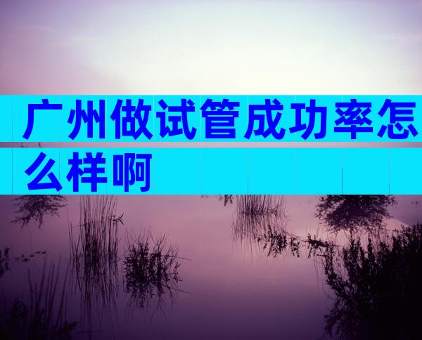 广州做试管成功率怎么样啊