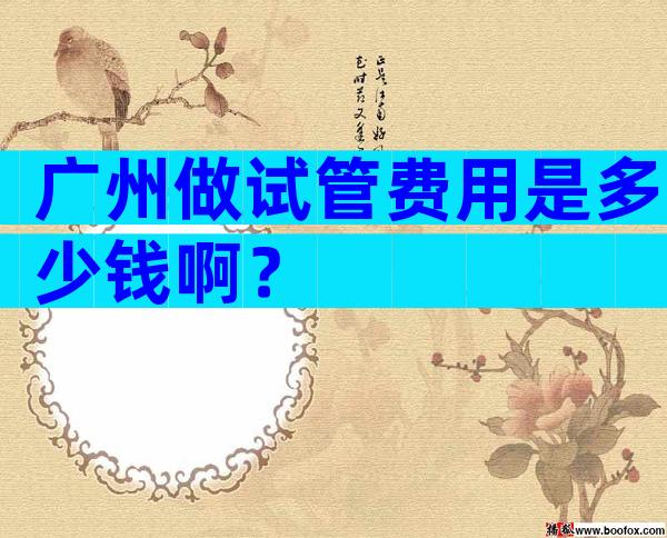 广州做试管费用是多少钱啊？