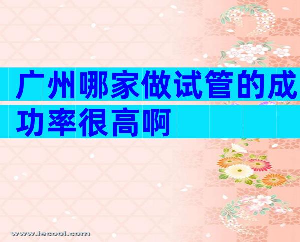 广州哪家做试管的成功率很高啊