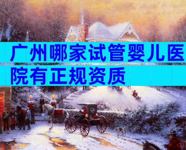 广州哪家试管婴儿医院有正规资质