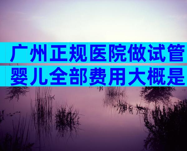 广州正规医院做试管婴儿全部费用大概是多少