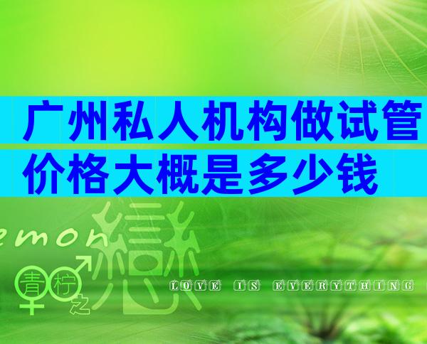 广州私人机构做试管价格大概是多少钱