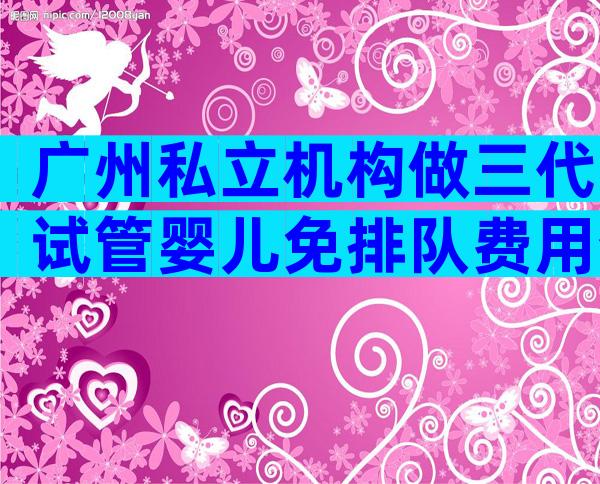 广州私立机构做三代试管婴儿免排队费用介绍，附生孩子总共费用