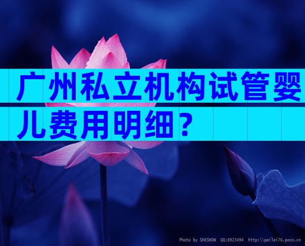 广州私立机构试管婴儿费用明细？