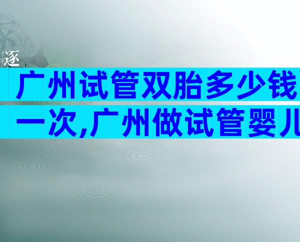 广州试管双胎多少钱一次,广州做试管婴儿多少钱一次
