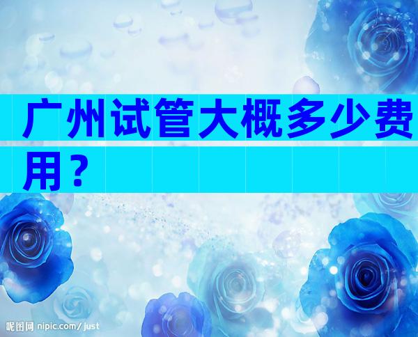 广州试管大概多少费用？