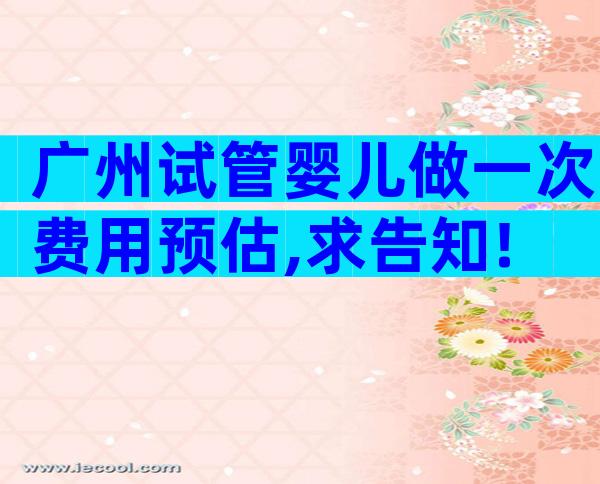 广州试管婴儿做一次费用预估,求告知!