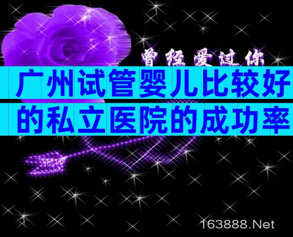 广州试管婴儿比较好的私立医院的成功率如何