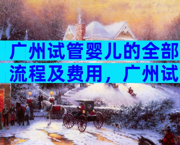 广州试管婴儿的全部流程及费用，广州试管婴儿成功率有多少