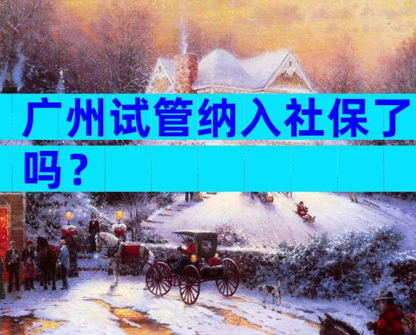 广州试管纳入社保了吗？