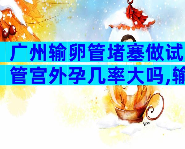 广州输卵管堵塞做试管宫外孕几率大吗,输卵管堵塞试管避免宫外孕的方法