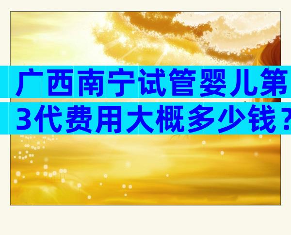 广西南宁试管婴儿第3代费用大概多少钱？