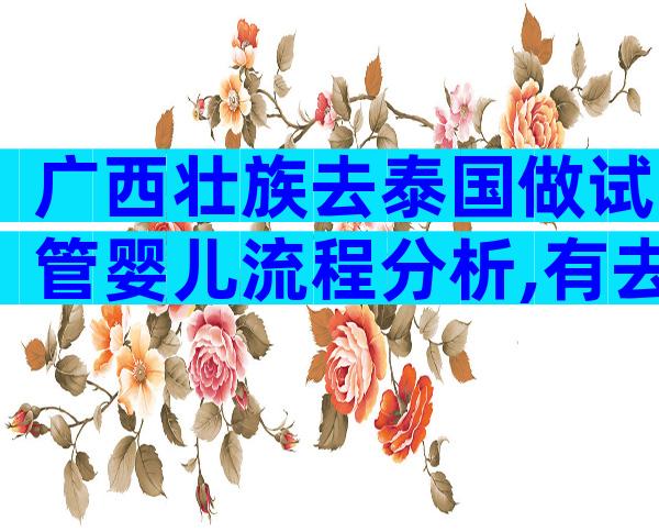 广西壮族去泰国做试管婴儿流程分析,有去泰国做试管的吗
